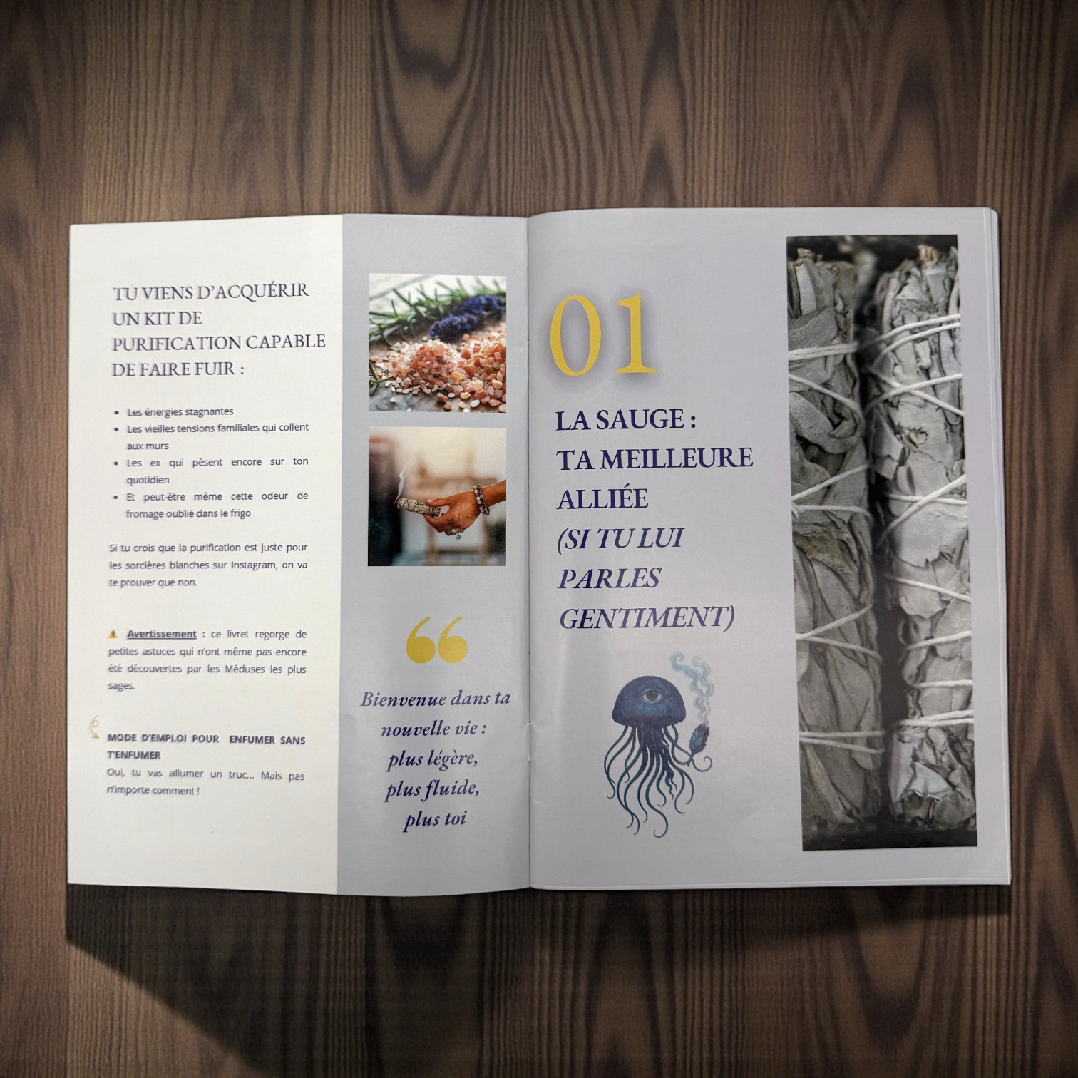 Kit : "Sauge qui peut !" – Image 3